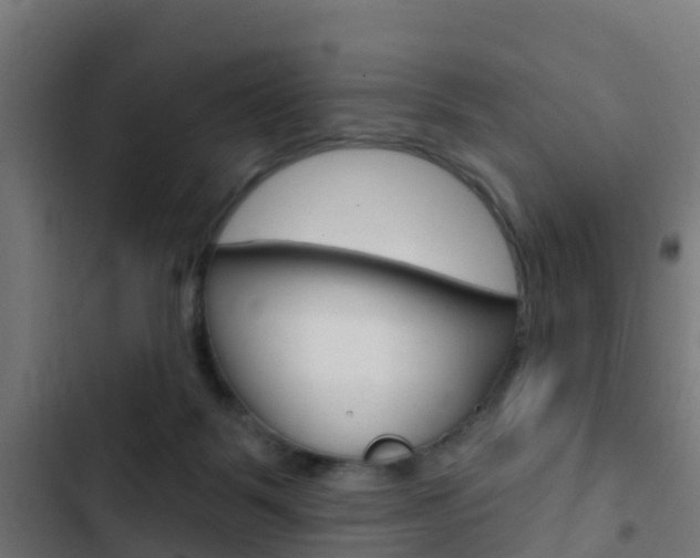 X0000103420123200809121021
