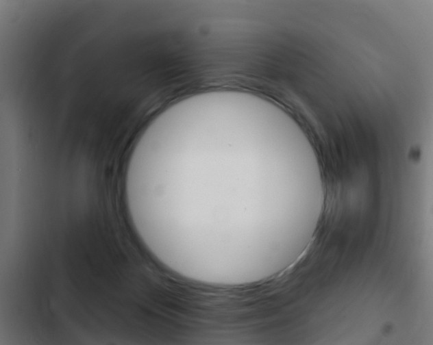 X0000103420124200809121021