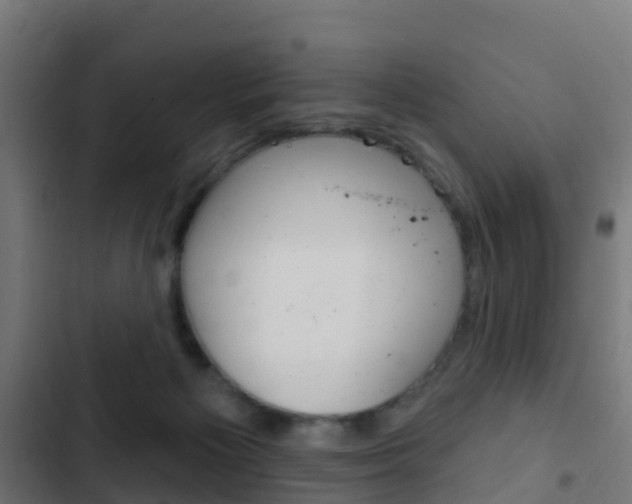 X0000103420125200809121021
