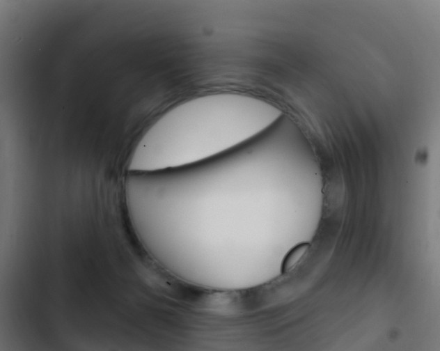 X0000103420126200809121021