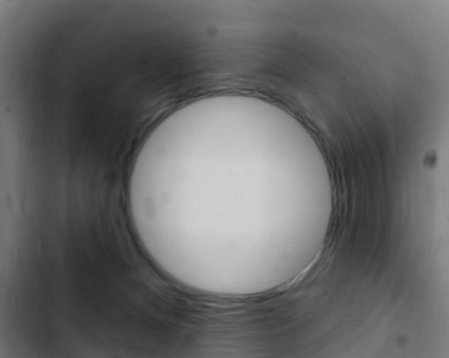 X0000103420128200809121021