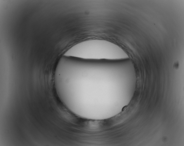 X0000103420134200809121021