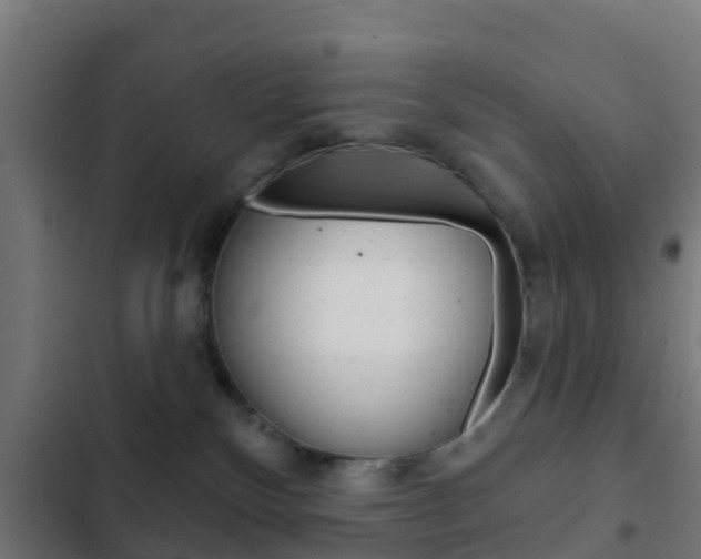 X0000103420136200809121021