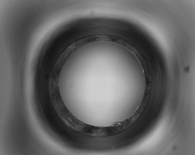 X0000103420143200809121021