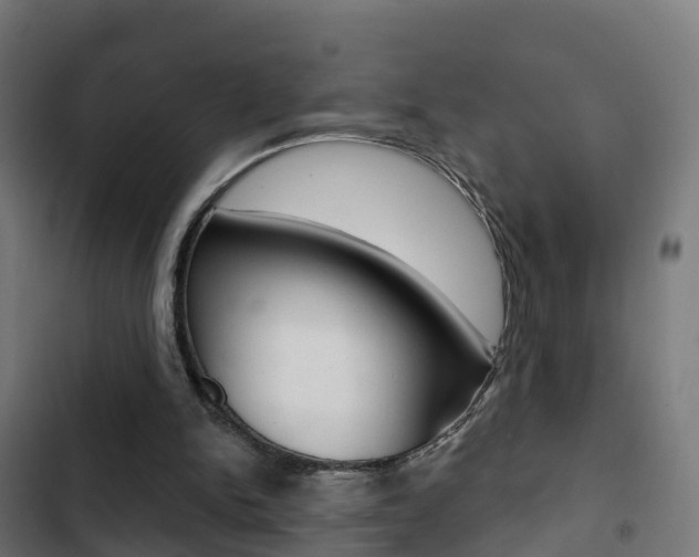 X0000103420150200809121020