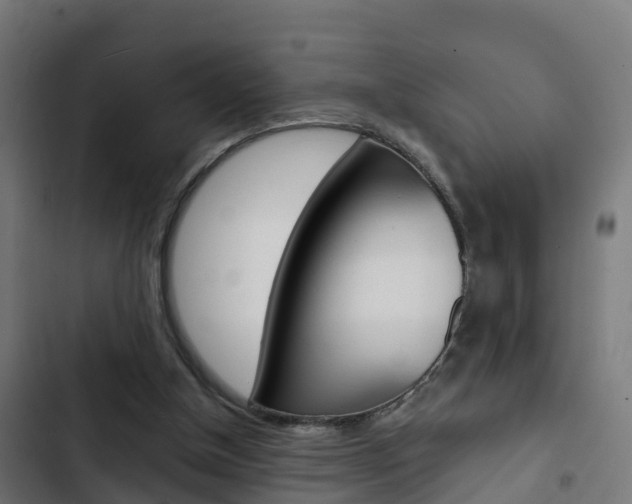 X0000103420154200809121021