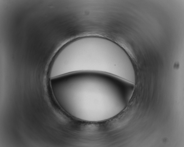 X0000103420156200809121021