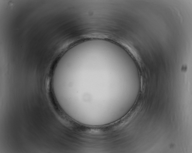 X0000103420157200809121021