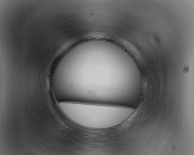 X0000103420158200809121021