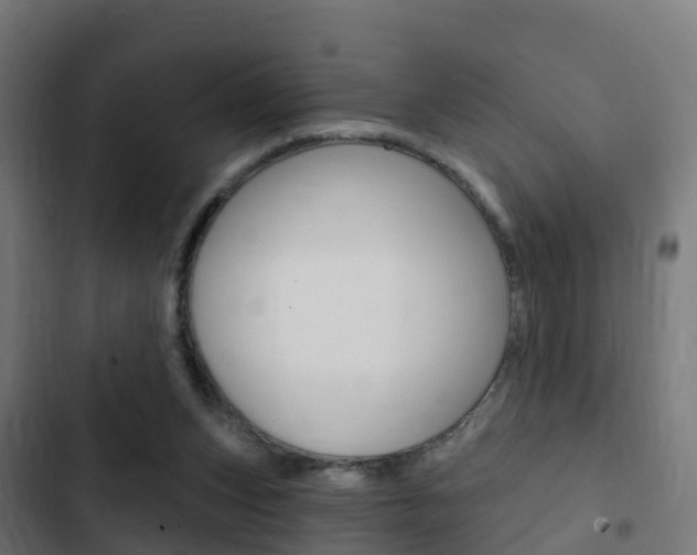 X0000103420159200809121021