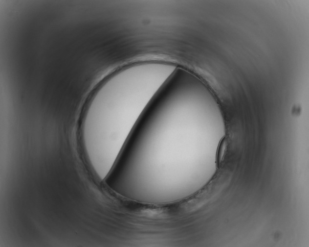 X0000103420160200809121021