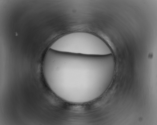 X0000103420161200809121021