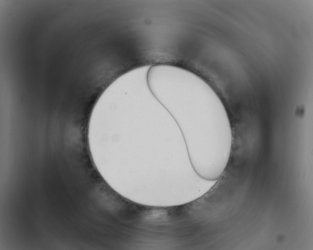 X0000103420162200809121021