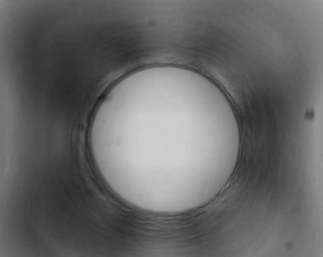 X0000103420164200809121021