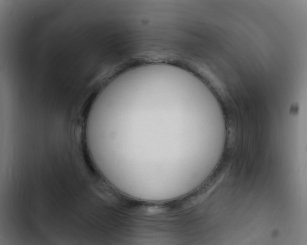 X0000103420165200809121021