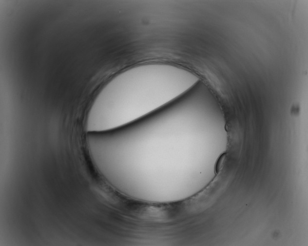 X0000103420166200809121021
