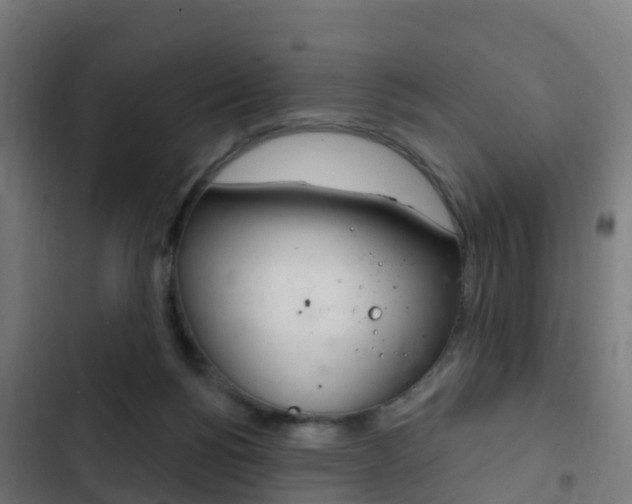 X0000103420168200809121021