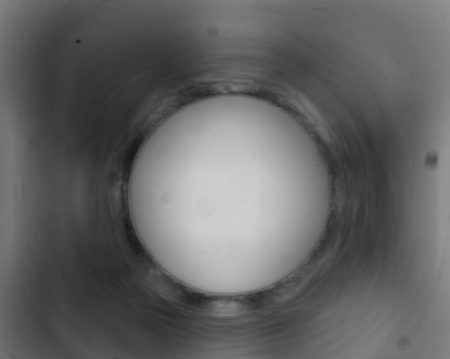 X0000103420169200809121021
