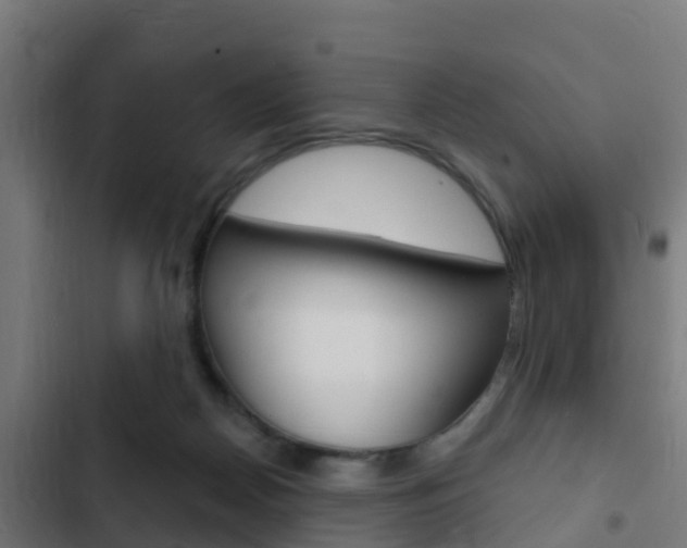 X0000103420170200809121021