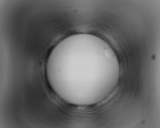 X0000103420171200809121021
