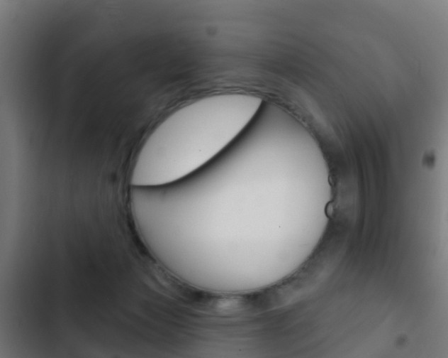 X0000103420173200809121021