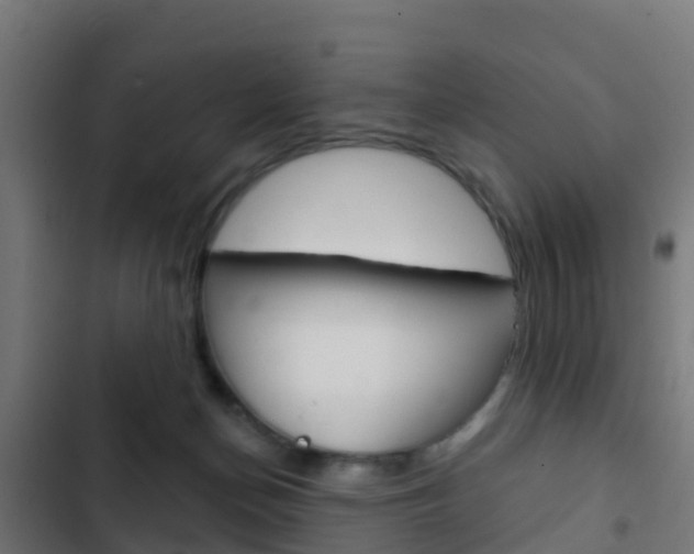 X0000103420174200809121021