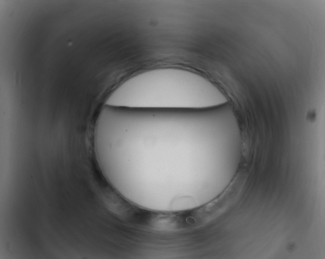 X0000103420175200809121021
