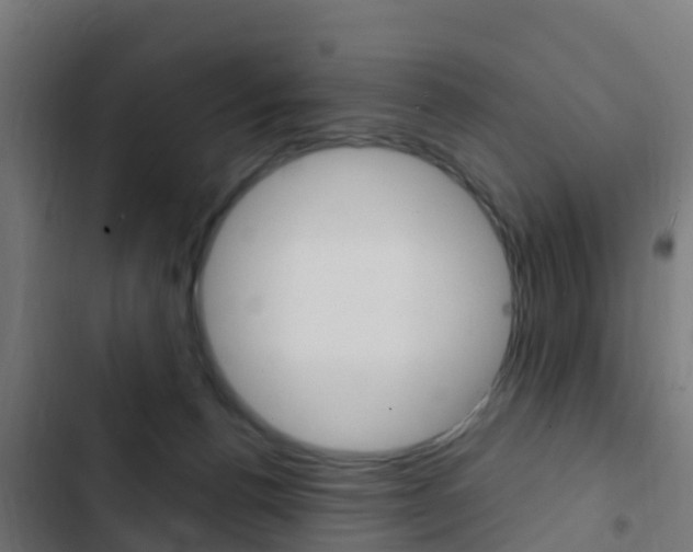 X0000103420176200809121021