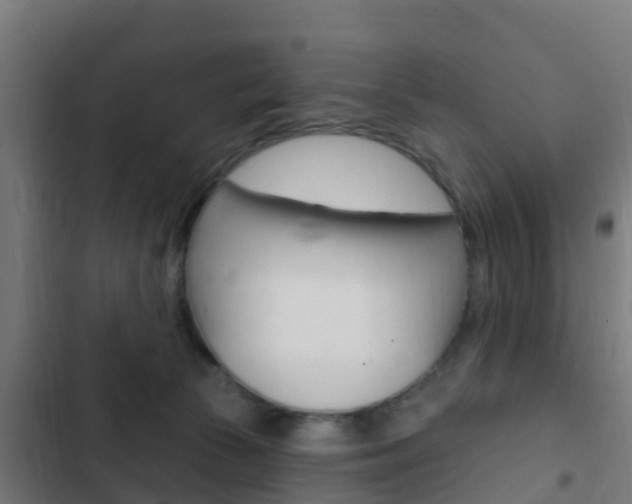 X0000103420177200809121021