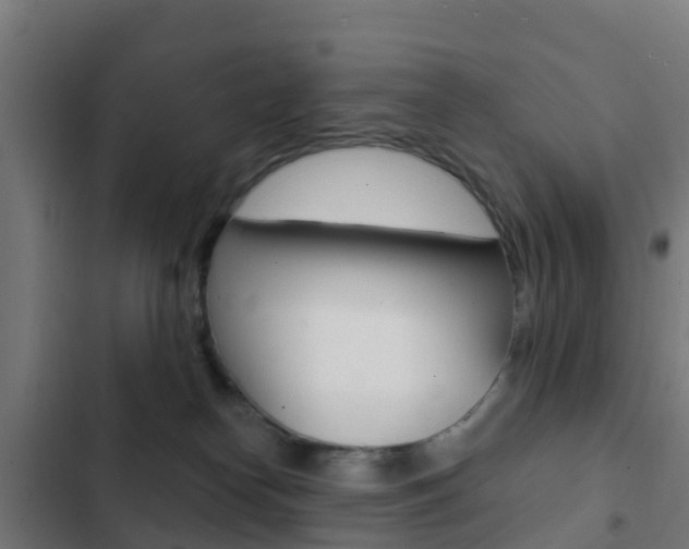 X0000103420182200809121021
