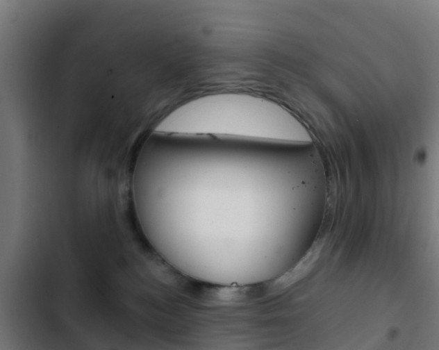 X0000103420184200809121021