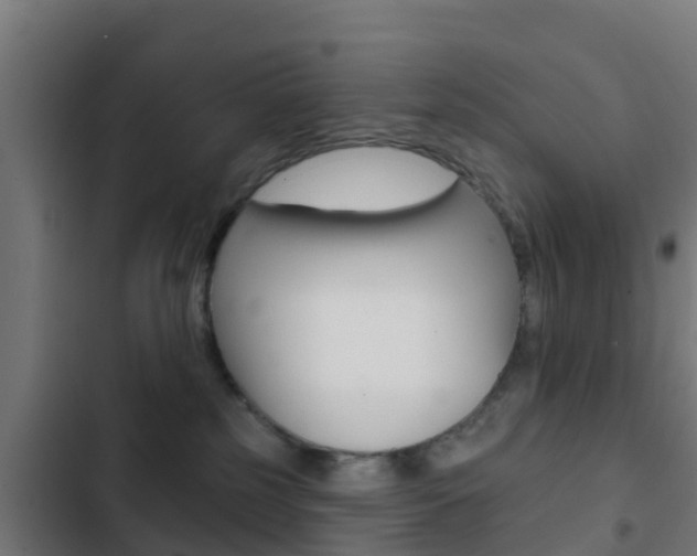 X0000103420185200809121021