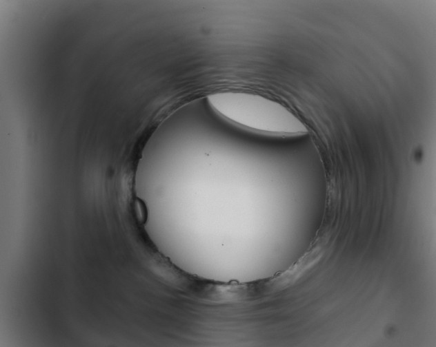 X0000103420188200809121021