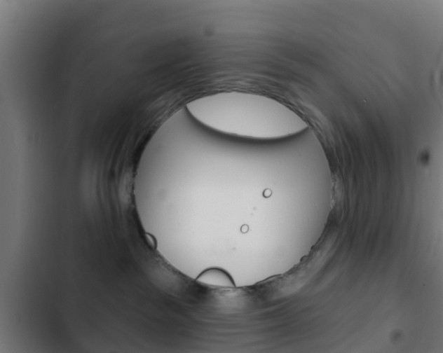 X0000103420189200809121021