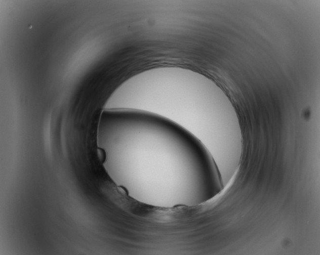 X0000103420190200809121021