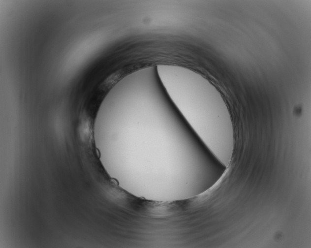 X0000103420191200809121021