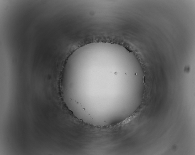 X0000103420192200809121021