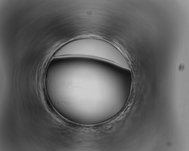 X0000103420193200809121020