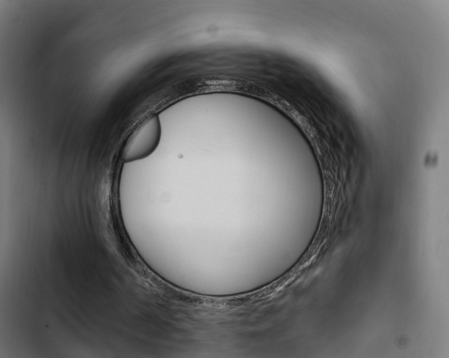X0000103420194200809121020