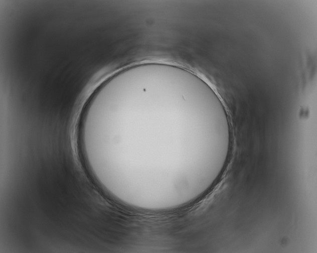 X0000103420199200809121020