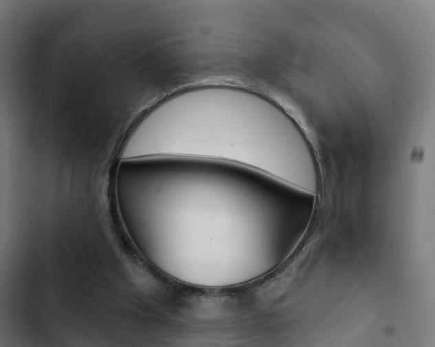 X0000103420201200809121020