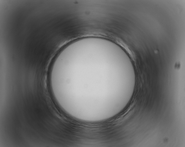 X0000103420203200809121020