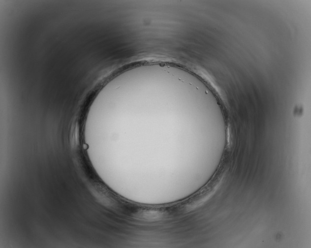 X0000103420205200809121020