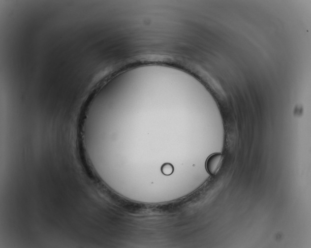 X0000103420207200809121020