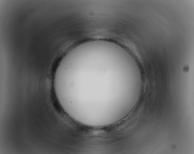 X0000103420210200809121020