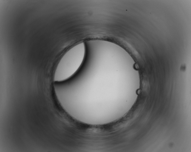 X0000103420211200809121020