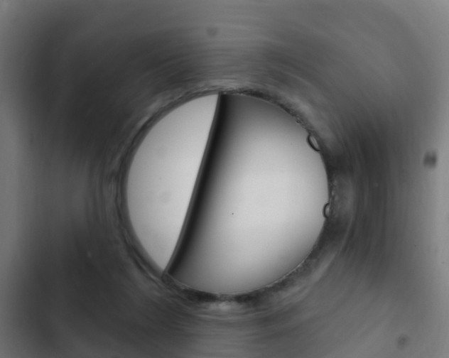 X0000103420212200809121020