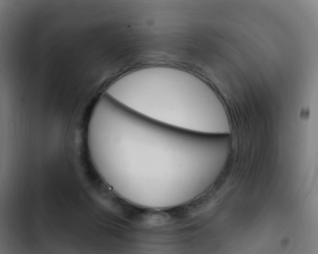X0000103420215200809121020