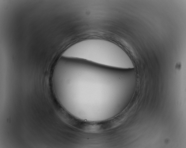 X0000103420217200809121020