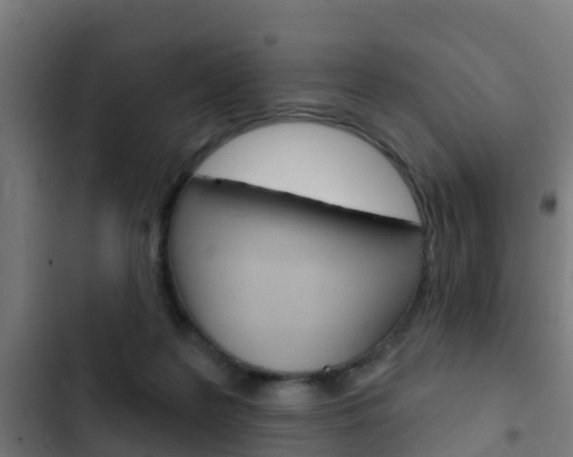 X0000103420219200809121020